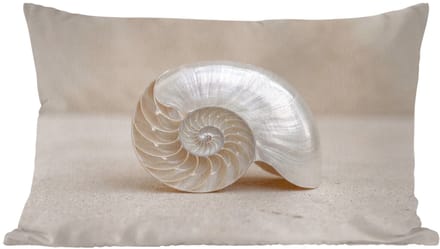 Sierkussens - Kussentjes Woonkamer - 60x40 cm - Schelp - Spiraal - Beige