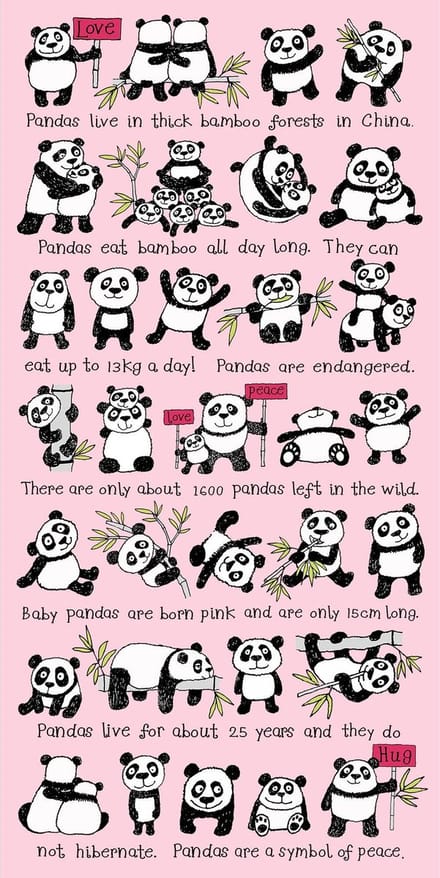 Panda Kinder Handdoek Strandlaken - Tyrrell Katz