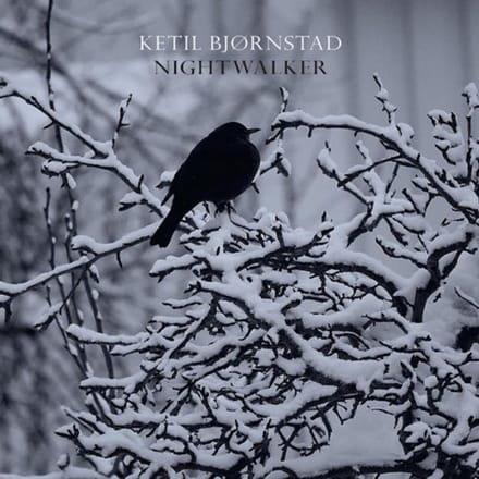 Nightwalker - Ketil Bjornstad & Falkeid Kolbei