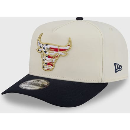 AM 9FIFTYAFC 31516 CHICAGO BULLS