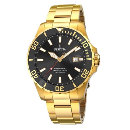 Festina Heren F20533/2