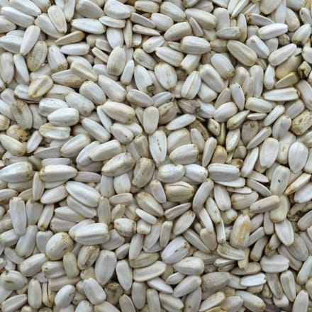 Zonnepitten - zonnebloempitten - vogelvoer -binnenvogels - buitenvogels - wintervoer - 500 gram