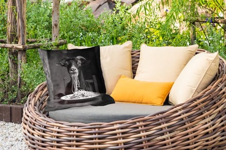 Buitenkussen - Geit - Bord - Spaghetti - Zwart Wit - 45x45 cm - Weerbestendig