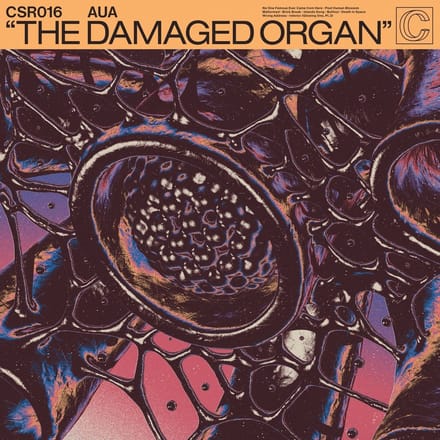 AUA - The Damaged Organ (2 LP)