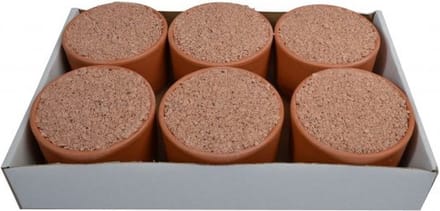 Wielink Pikpot Excellent 6 stuks