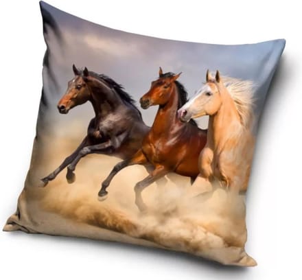 Paarden - Sierkussenhoes - 40 x 40 cm