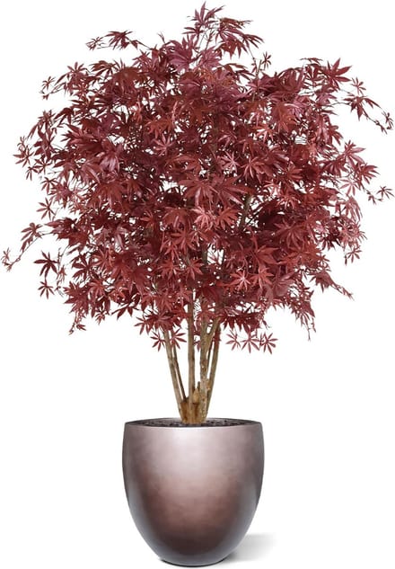 Acer Maple deluxe kunstboom 165cm - burgundy