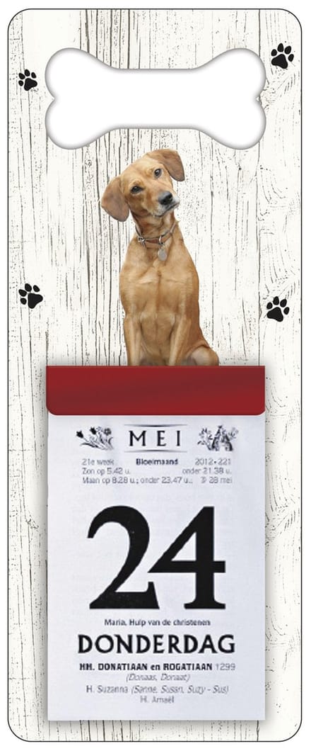 Scheurkalender 2027 Hond: labrador blond