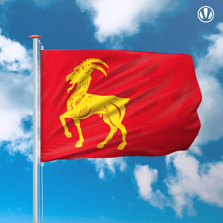 Vlag Boxmeer 150x225cm