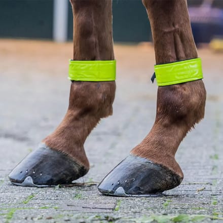 Reflecterende zelfklevende bandages HORKA