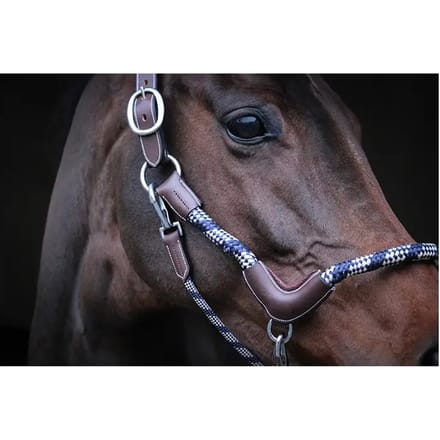 Reis halster voor paarden Jump'In Collection One