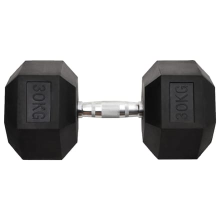 vidaXL - Halters - 30 - kg - gietijzer