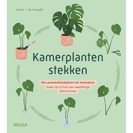 Kamerplanten Stekken - CELINE