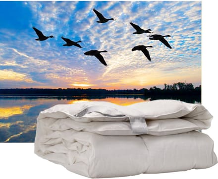 iSleep Donzen Dekbed - Enkel - 100% Dons - Warmteklasse 2 - Eendendons - Eenpersoons - 140x200 cm