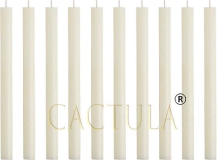 Cactula ivoren lange dinerkaarsen 30 cm diameter 2,1 | 10 stuks