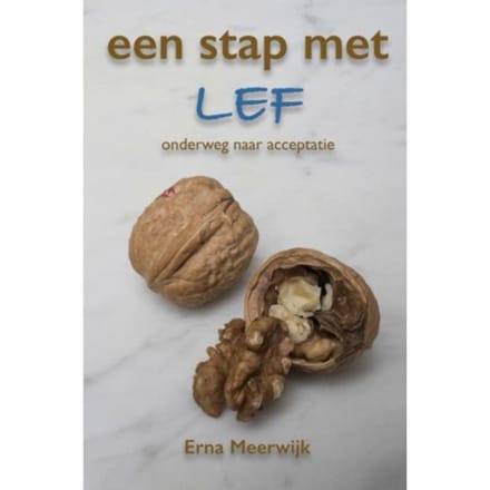 Een Stap Met Lef - Erna Meerwijk
