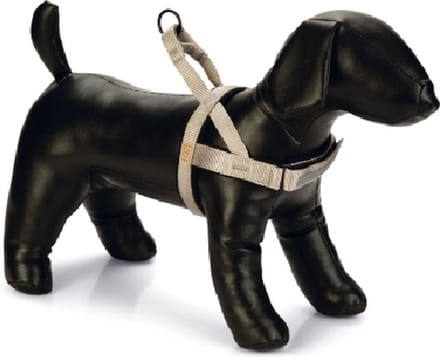 Beeztees Premium Parinca - Borsttuig - Licht grijs 52-62cm x 2,5cm