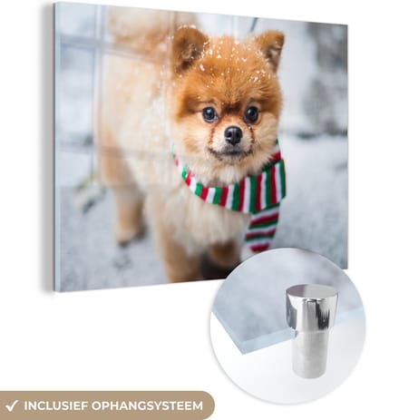 MuchoWow® Glasschilderij 160x120 cm - Schilderij acrylglas - Hond - Sjaal - Sneeuw - Foto op glas - Schilderijen