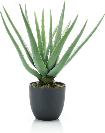 Emerald - Kunstplant in pot Aloe Vera 35cm - Kunstplant voor binnen