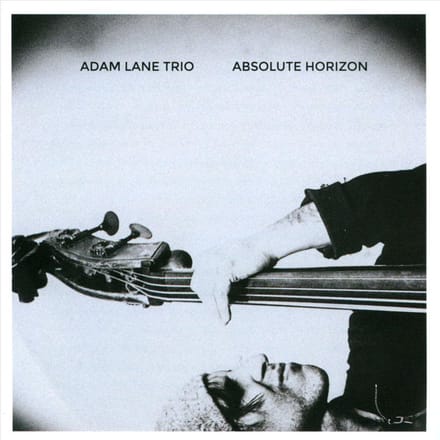 Absolute Horizon