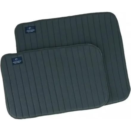 Front flanel voor paarden Equithème Cooldry