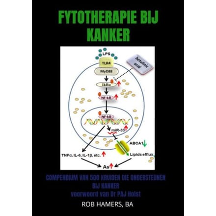 Fytotherapie Bij Kanker - Rob Hamers, BA