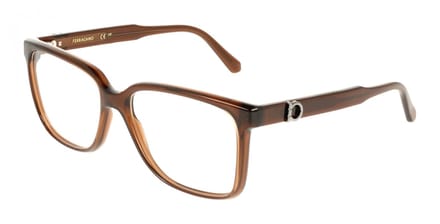 Ferragamo SF3043E Transparent brown 57/16/145 MAN Brilmonturen