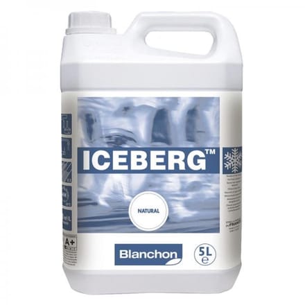 Blanchon iceberg parketvernis 5 l Naturel