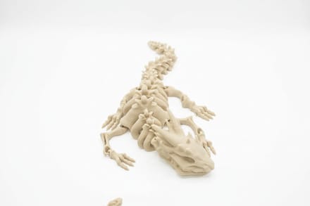 3D-geprinte Beweegbare Skeletdraak – Gelede Fantasy Figuur