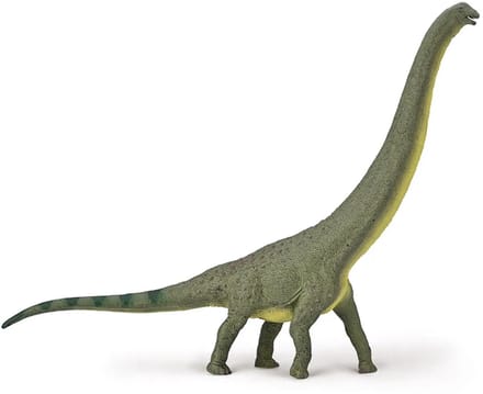 COLLECTA Figurine - Dreadnoughtus - 1:100 - Prehistorie - Handgeschilderd - Dinosaurus - Miniatuur