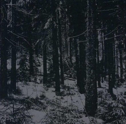 Abstrakter Wald