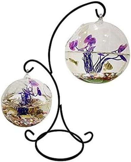 Glazen Viskom - Mini Aquarium - Thuisdecoratie - Stil Werkend - 33 cm - Transparant