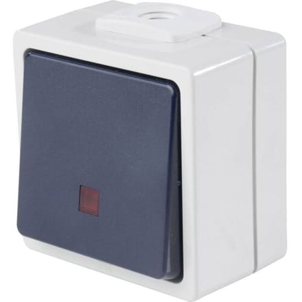 AS Schwabe 62453 Toets Met licht IP54 Grijs