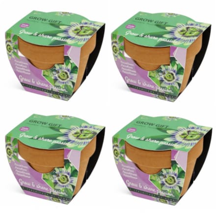 Passiebloem - Grow Gift - 4 Minipotjes voor kweken van Passiebloem