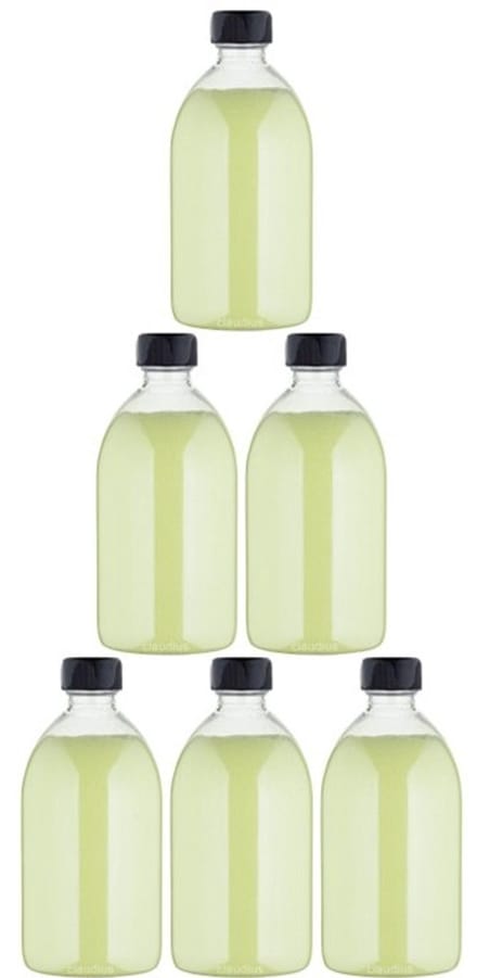 Scrubzout Fresh Ginger - 650 gram - Fles met zwarte dop - set van 6 stuks - Hydraterende Lichaamsscrub