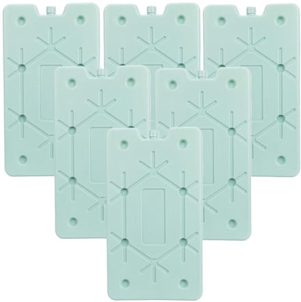 Excellent Houseware Koelelement Ice Pack - 6x - mintgroen - polyethyleen - 350 gr - 24 x 14 x 1.5 cm