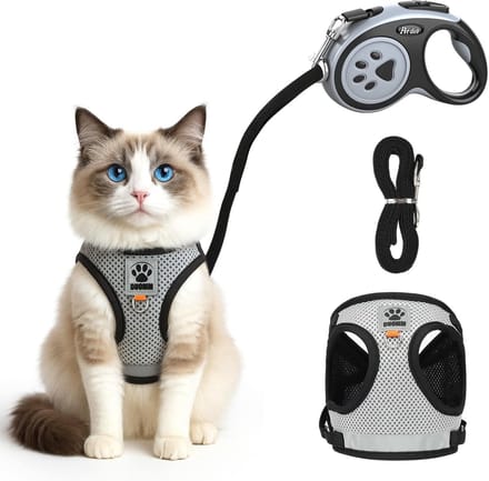 Dailygoods - Kattenharnas met Riem - Verstelbare en Ademende Set voor Katten