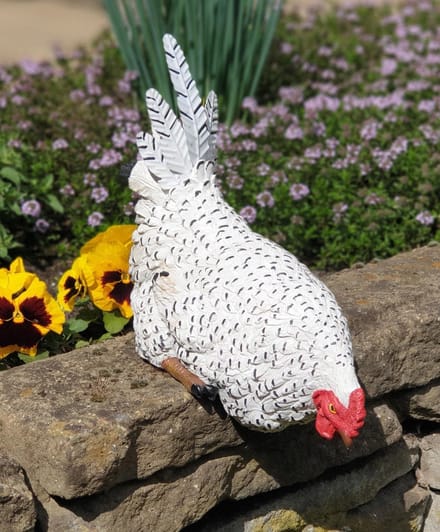 Zittend Kip beeld wit 24cm kippen tuinbeeld op rand - Kip decoratie| GerichteKeuze