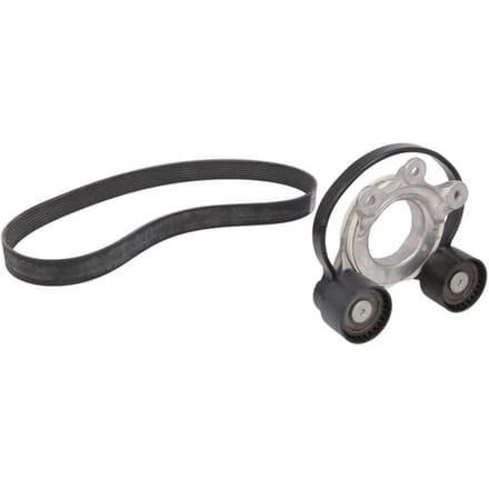 Continental Ctam Poly V-riem set CONTINENTAL 8 PK 954 EXTRA K1