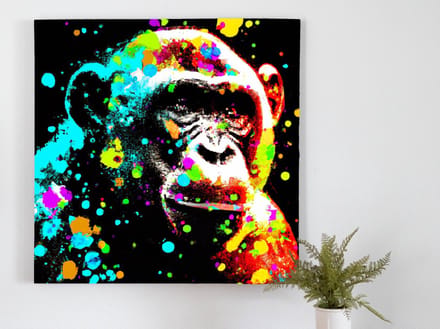 Charming chimp | Charming Chimp | Kunst - 100x100 centimeter op Forex | Foto op Forex