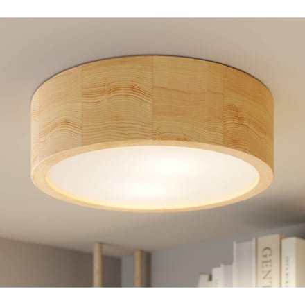 TEMAR LIGHTING Cleo plafondlamp, Ø 27,5cm, 2-lamps, dennenhout, E27