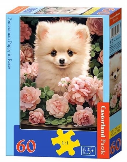 Castorland Puzzel 60 Stukken: Pomeranian Puppy in Rozen