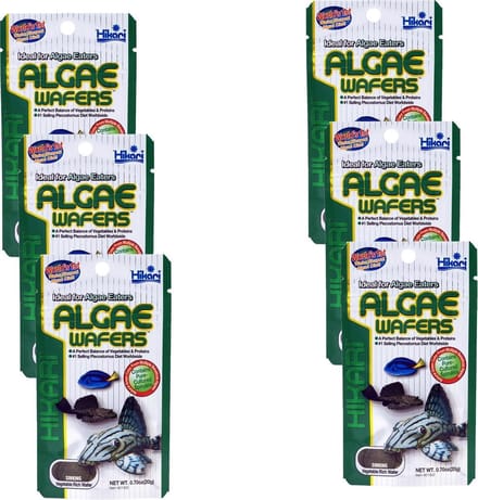Hikari Algae Wafers - Vissenvoer - 6 x 20 g
