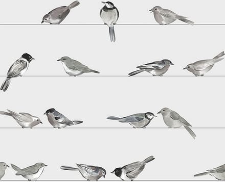 Lunch servetten Birds - PPD - 33x33 cm