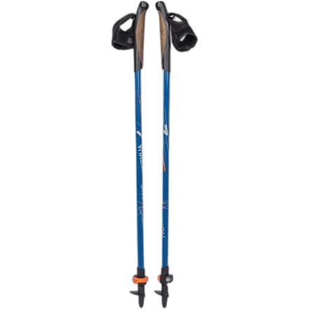 Ternua Walking Stok 1 Eenheid Zilver 60-130 cm