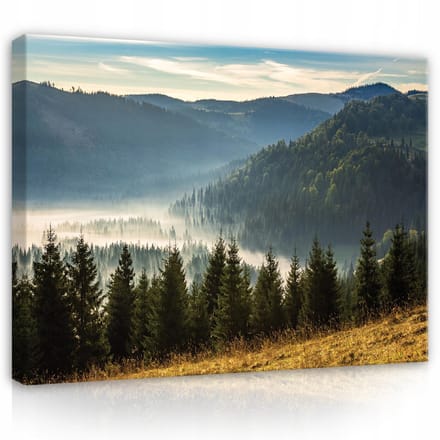 WALLARENA - Canvas schilderij - 100x70 cm - Berglandschap met natuur en bos