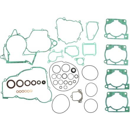 Joint bas-motor motor met spi Athena Beta RR 250 2T ENDURO [250]
