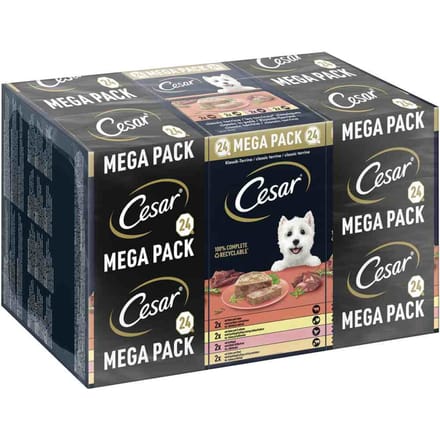 Cesar Hondenvoer - Classic Mix in Paté - Kuipjes - 24x150g