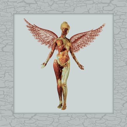 Nirvana - In Utero (5 CD) (30th Anniversary) (Limited Deluxe Edition) (Remastered)
