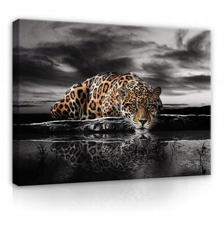 WALLARENA - Canvas schilderij - 100x70 cm - afbeelding van een tijger, jaguar en cheeta